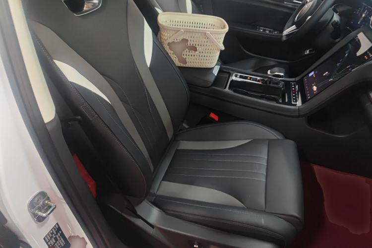 Used Hongqi H6 2024 2.0T ZhiMei Edition Right Front Seat