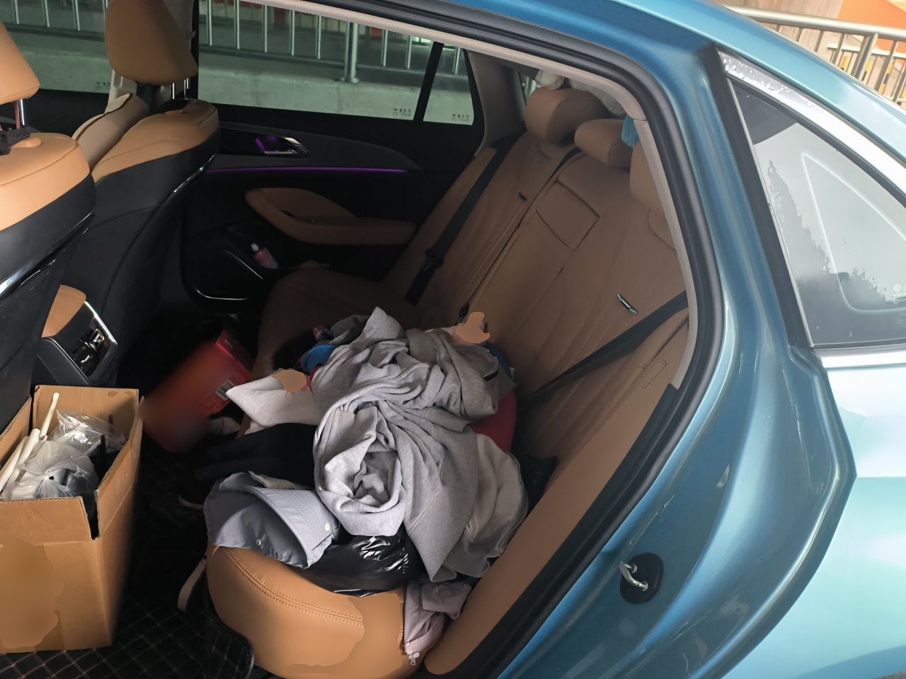 Hongqi H5 2023 2.0T Automatic Smart Connect Flagship Edition - Chinese Trim Chang — снимка 17