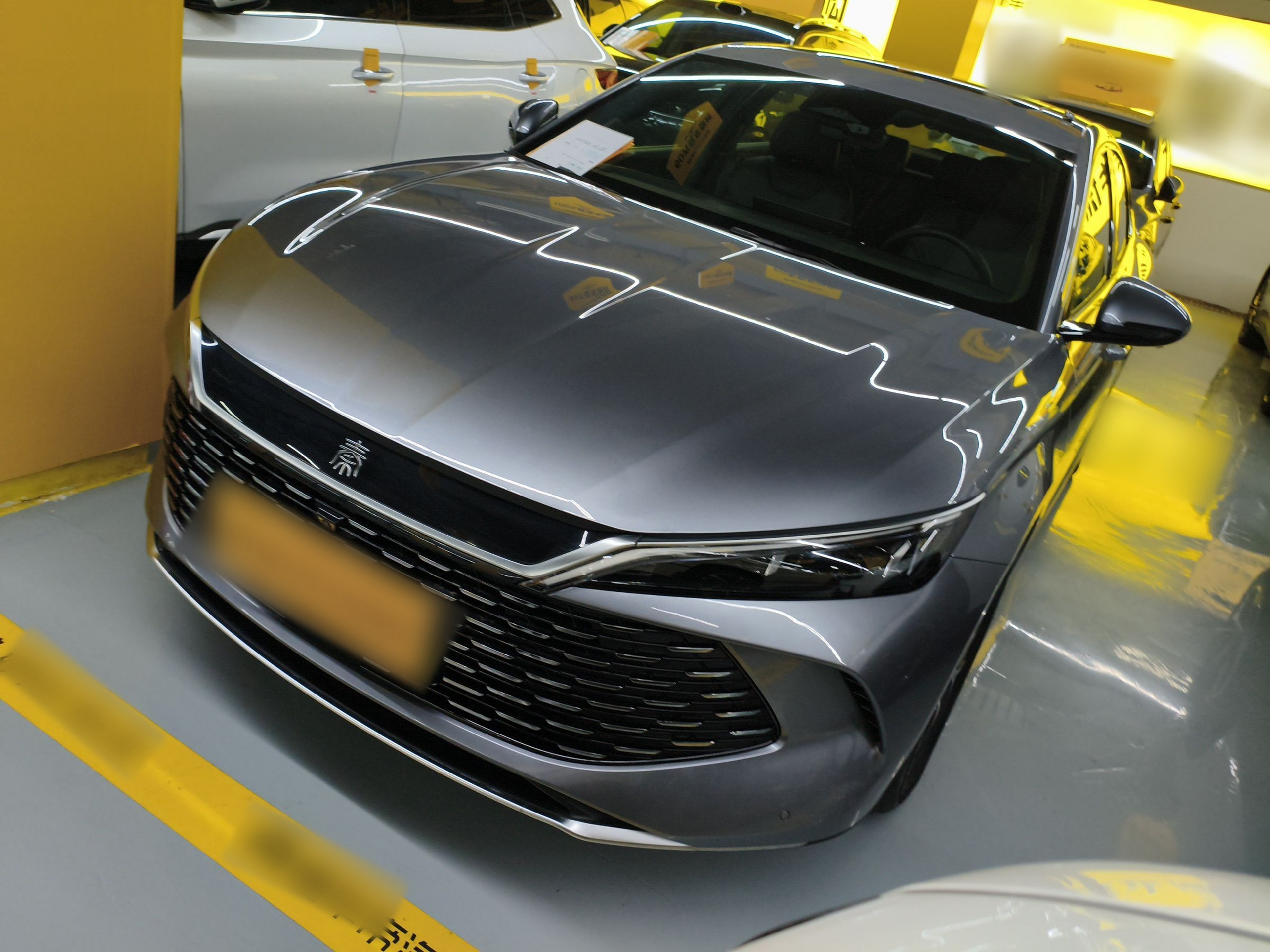 Parte inferior delantera