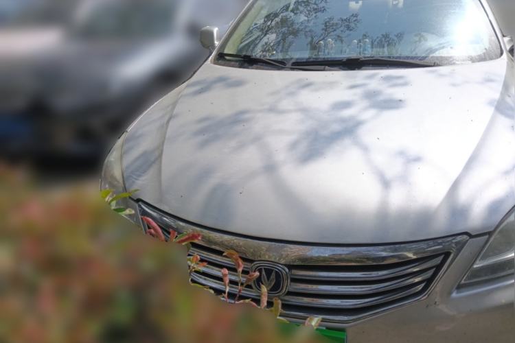 Used CHANGAN Raeton 2013 1.8T Automatic Prestige Model China IV Standard