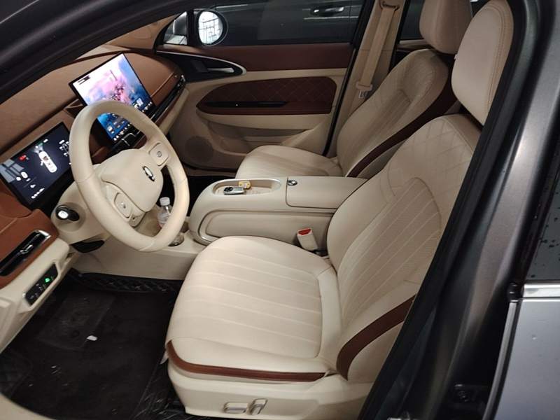 Used ORA Good Cat 2025 Model, 430 km Prestige Version — 15