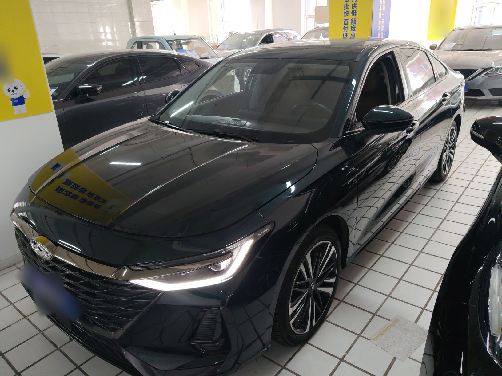 تحت مقدمة السيارة