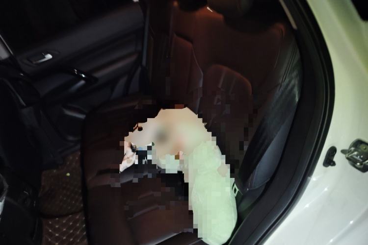 Used GAC Trumpchi GS4 2018 235T Manual Two-Wheel Drive Luxury Edition Left Rear Seat