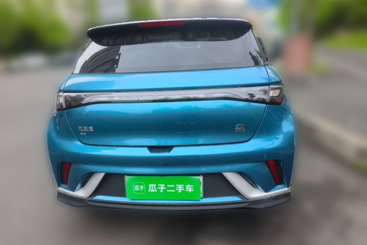 Used BYD Dolphin 2021 401km Knight Edition Rear