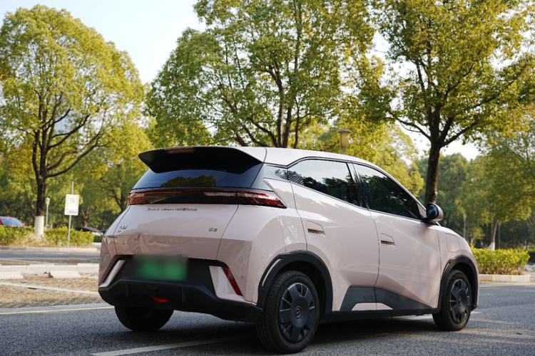 Used BYD Seagull 2024 Honor Edition 305km Dynamic Version Exterior 1