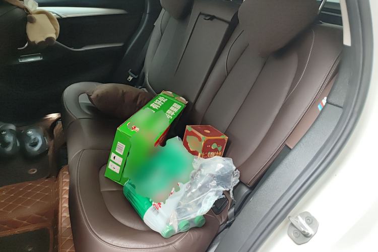 Used BMW X1 New Energy 2018 xDrive25Le Luxury Model
