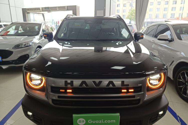 Used Haval DARGO 2024 2.0T DCT Chinese Rural Dog Edition
