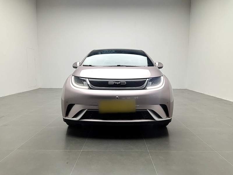 Used BYD Dolphin 2023 420 km Fashion Edition — 28