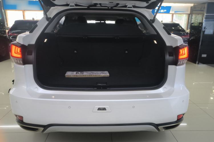 Used Lexus RX 2020 Revised Version 300 Two-Wheel Drive Elite Edition