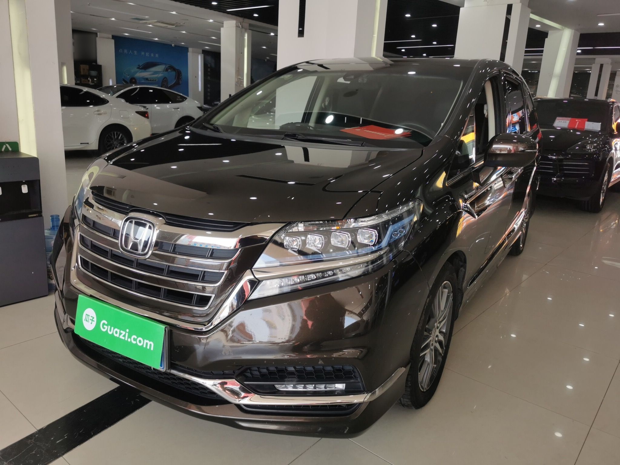 Parte inferior delantera