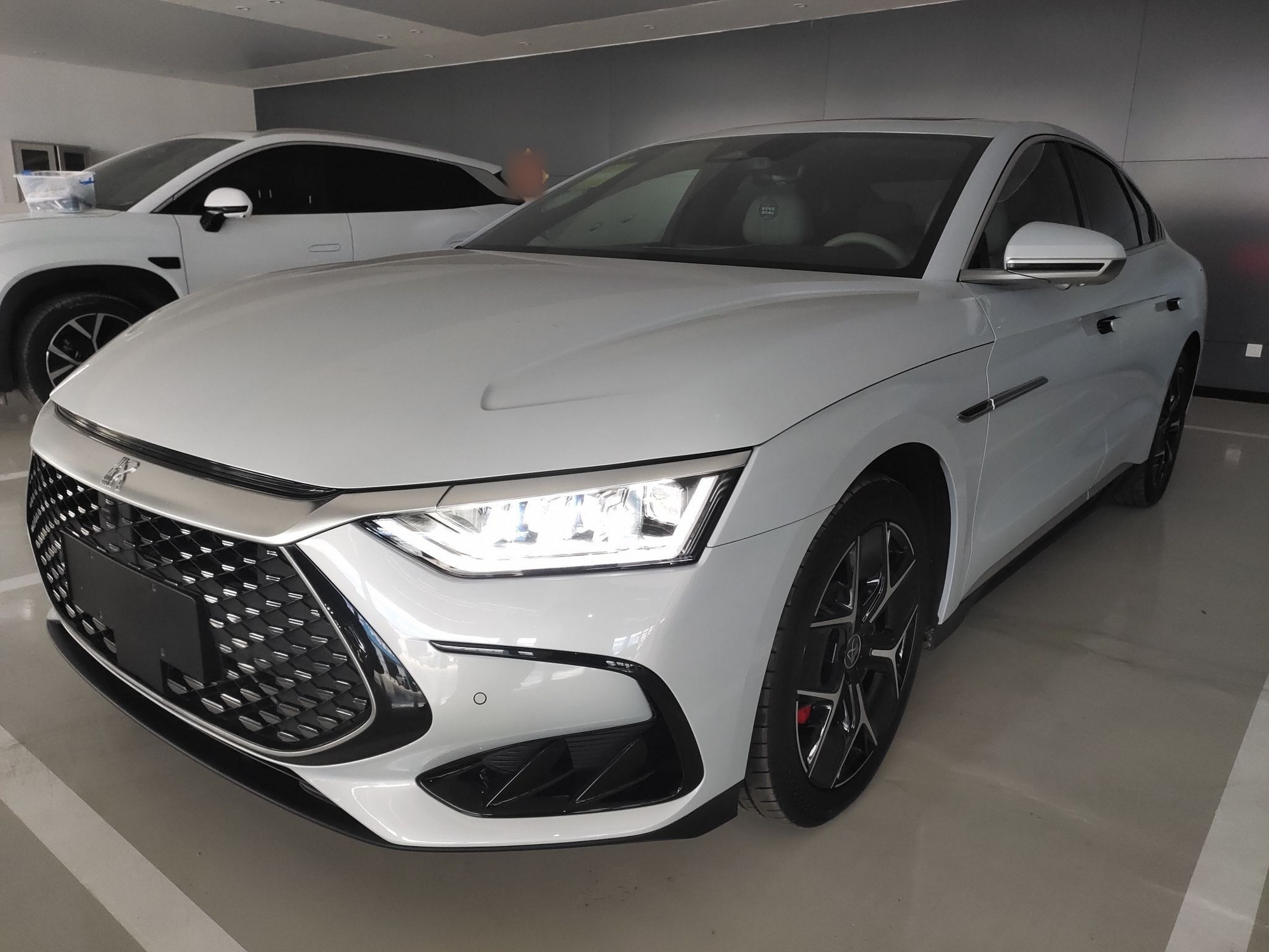 Parte inferior delantera