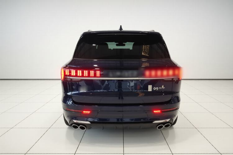 Used Lynk & Co 09 EM-P 2023 2.0TD EM-P Four-Wheel Drive Asian Games Executive Edition Five Seats

