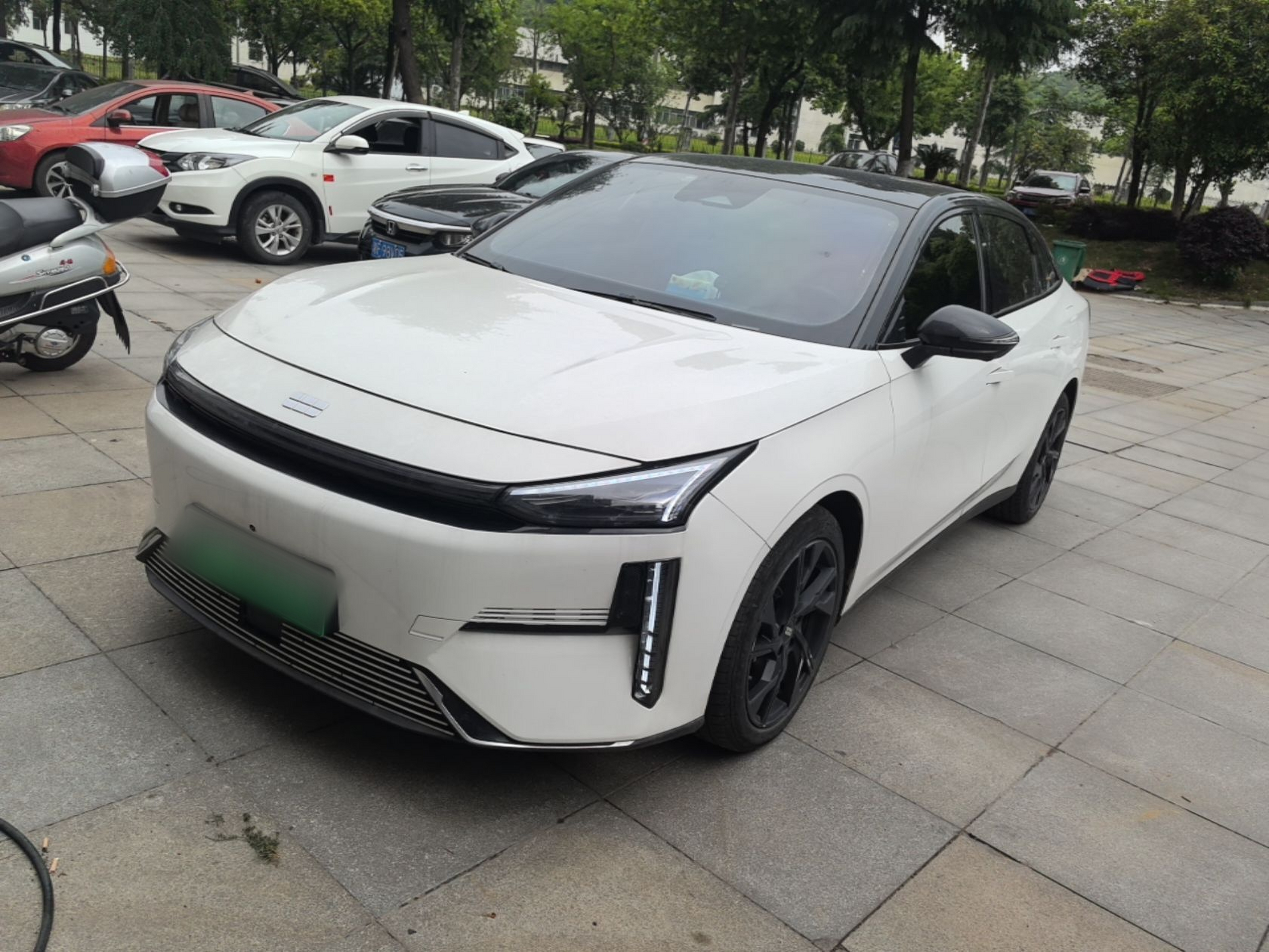 Under Front Bumper