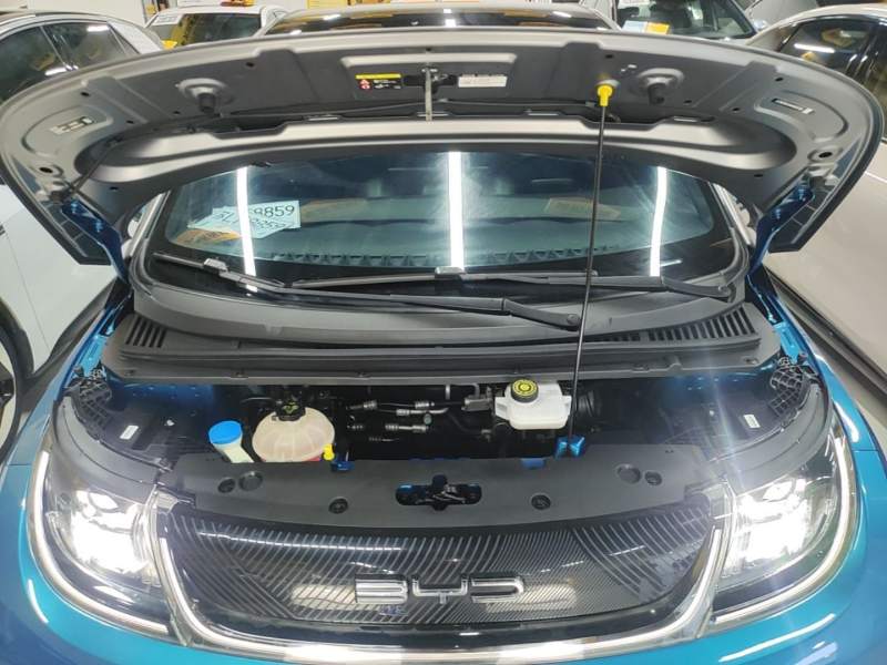 Used BYD Dolphin 2021 401km Knight Edition — 19