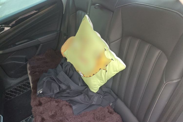 Used Volkswagen Passat 2020 Revised Version 280TSI Business Edition China VI Standard