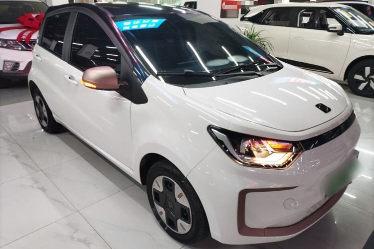 Used SOL E10X 2022 Flower Fairy Design Dandelion