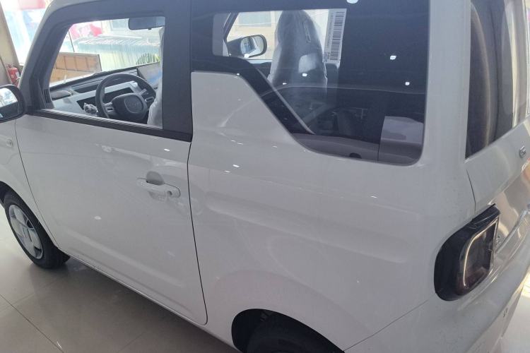 Used Audi Panda 2024 Panda Mini 200km Endurance Bear