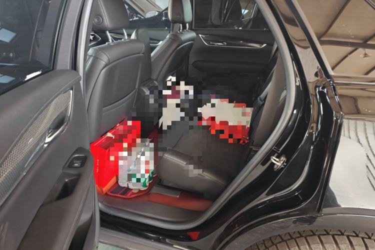 Used Cadillac XT5 2022 2.0T Four-Wheel Drive Luxury Version (Hummingbird Edition)
