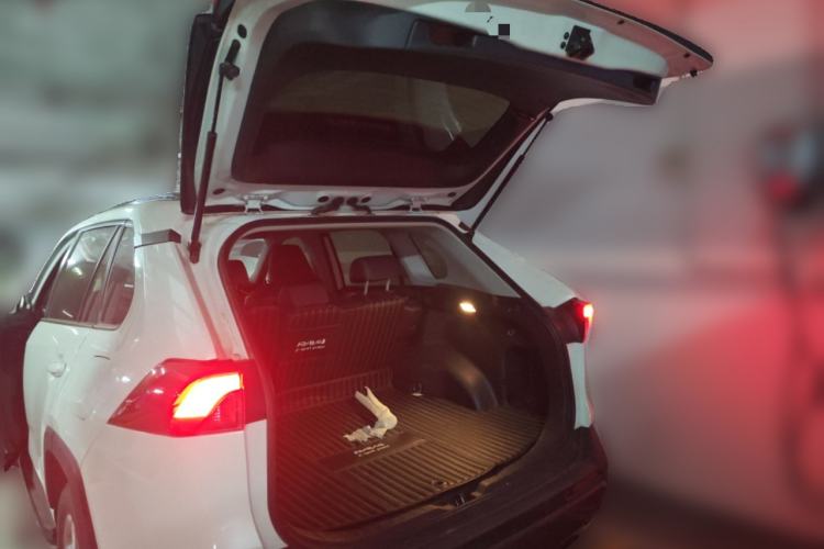 Used Toyota RAV4 2020 2.0L CVT Two-Wheel Drive Fashion PLUS Edition