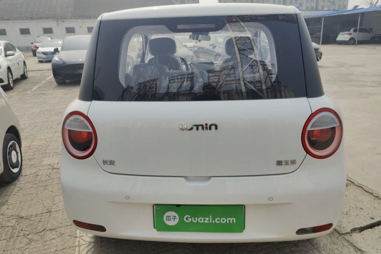 Used Qiyuan Lumin 2025 205 km Xiangqin Version