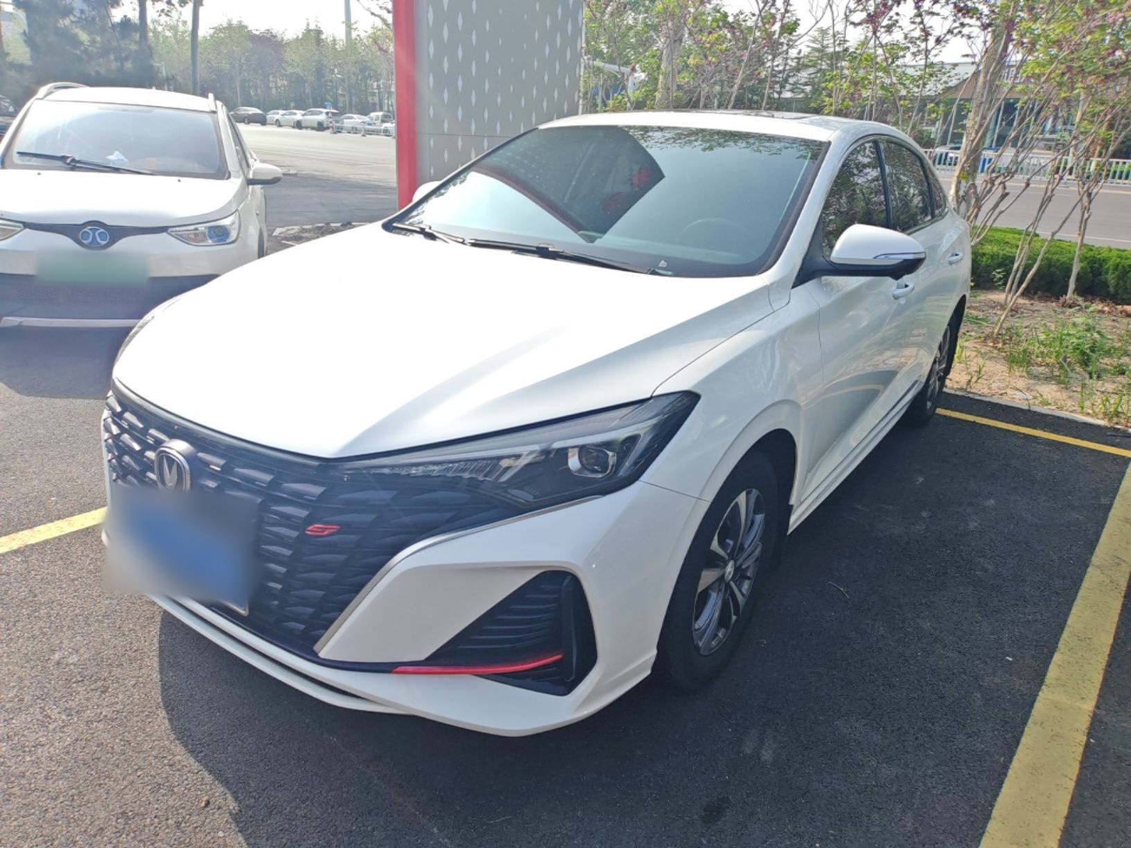 Parte inferior delantera