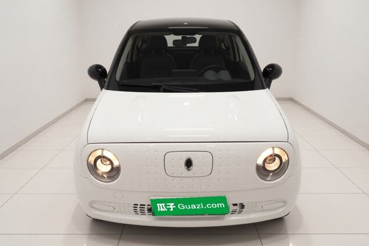 Used ORA Black Cat 2022 301km Base Version Ternary Lithium
