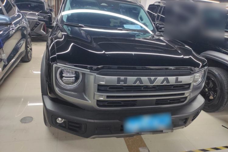 Used Haval DARGO 2024 2.0T DCT Chinese Rural Dog Edition
