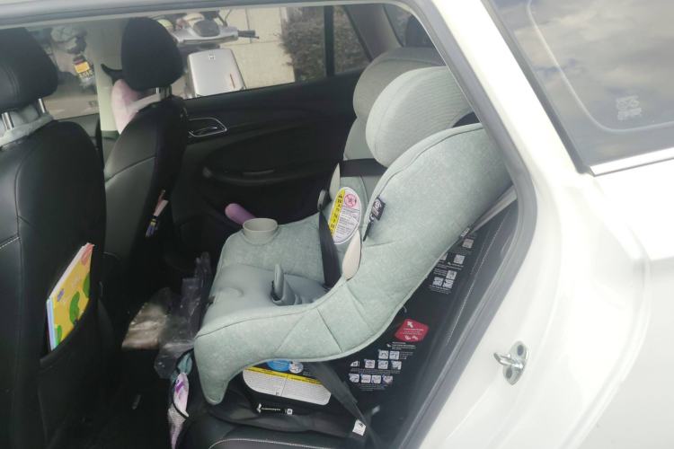 Used Roewe Ei5 2018 Internet Flagship Edition Left Rear Seat