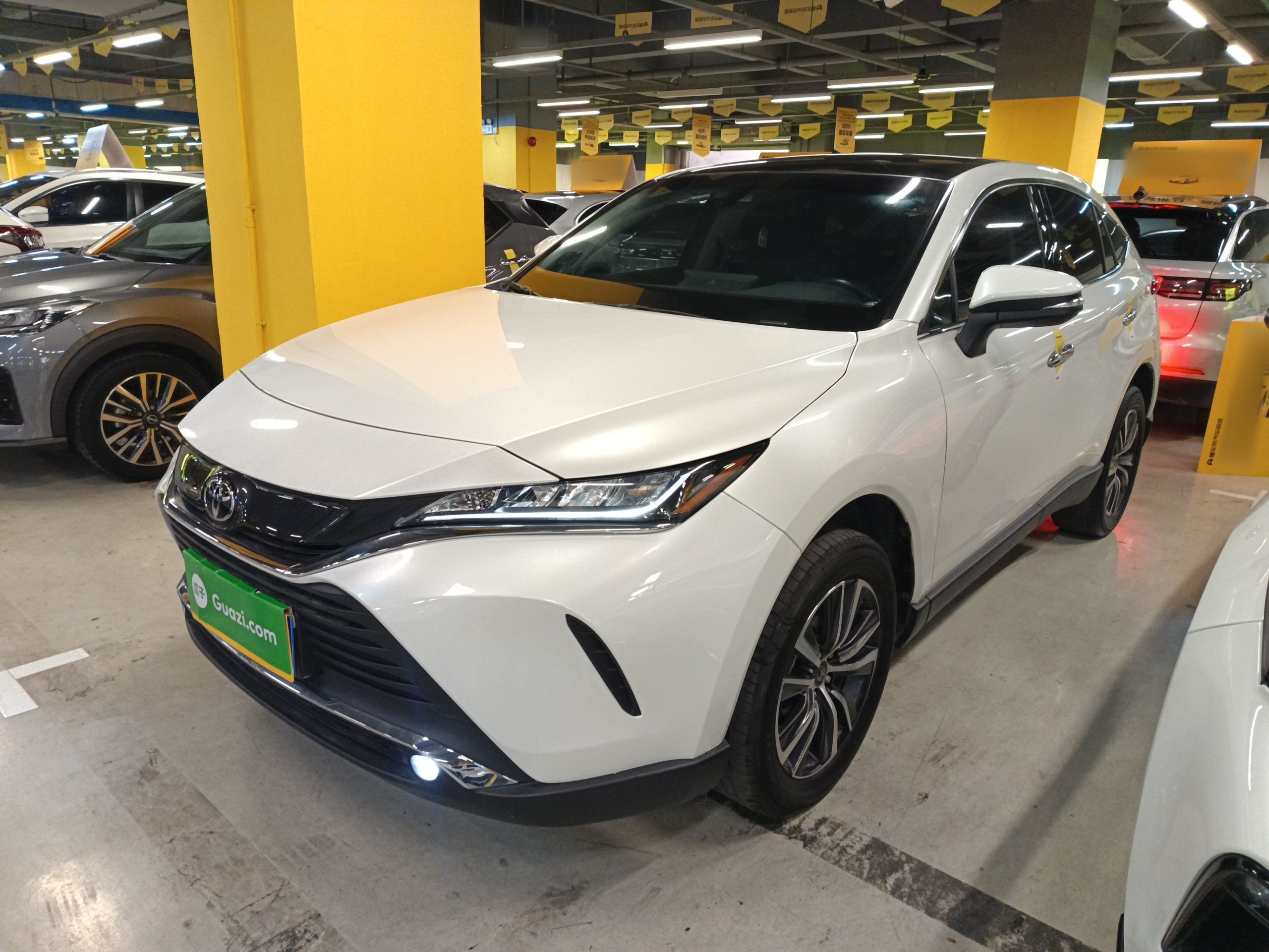 تحت مقدمة السيارة