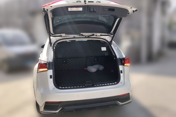 Used Lexus NX 2020 200 All-Wheel Drive Fēngshàng Version China VI Standard