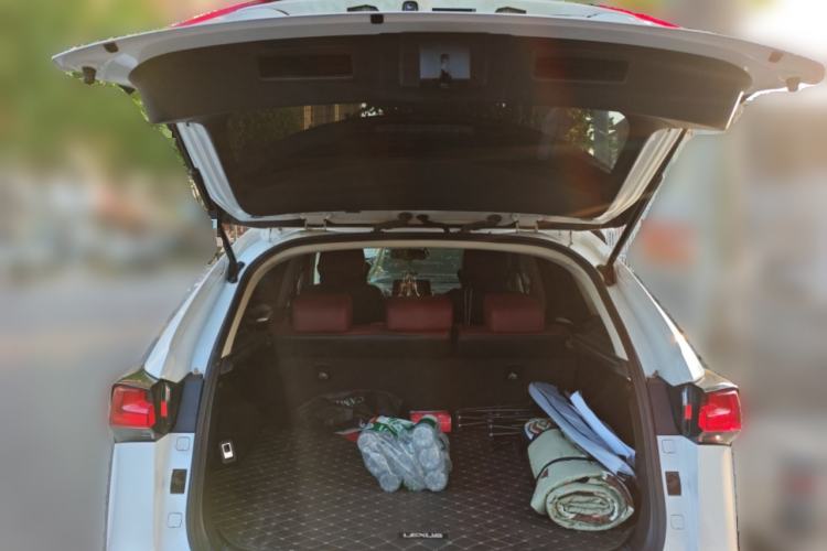 Used Lexus NX 2020 200 Front-Wheel Drive Freeline Edition China VI Standard