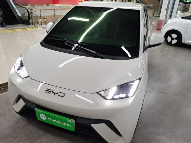 Used BYD Seagull 2025 305 km Free Version — 1