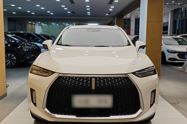 Used Wey P8 2018 2.0T Flagship Model