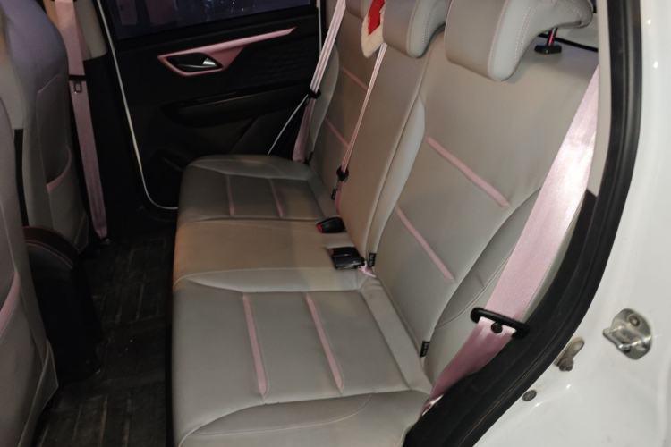 Used SOL E10X 2022 Flower Fairy Design Four-Leaf Clover Left Rear Seat