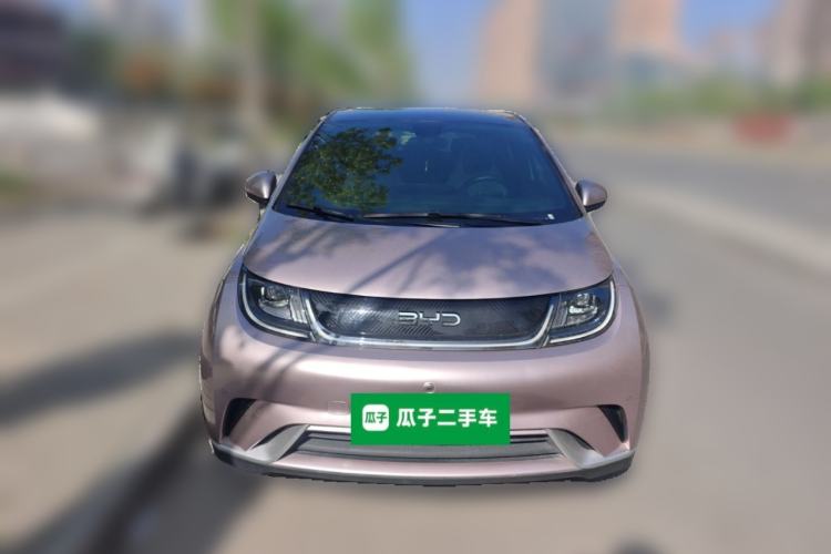 Used BYD Dolphin 2023 420 km Fashion Edition Front