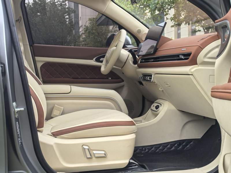 Used ORA Good Cat 2025 Model, 430 km Prestige Version — 37