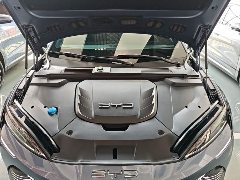 Used BYD Seal 2023 Champion Edition 550km Elite Model — 19