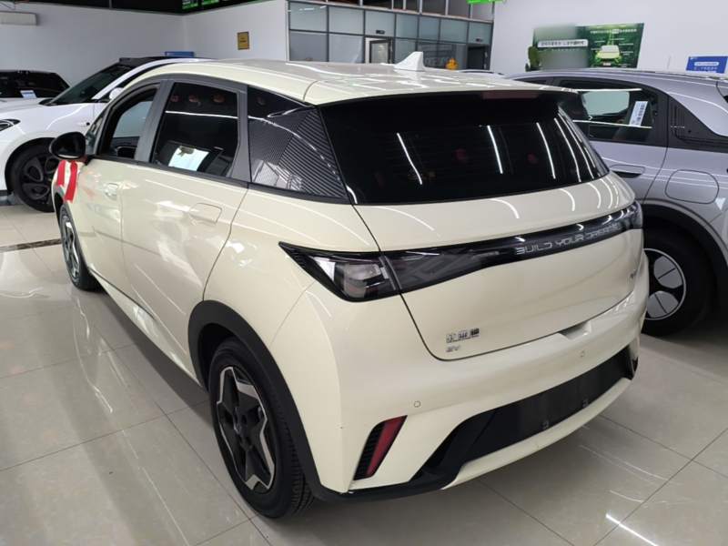 Used BYD Dolphin 2024 Honor Edition 420km Freedom Version — 4