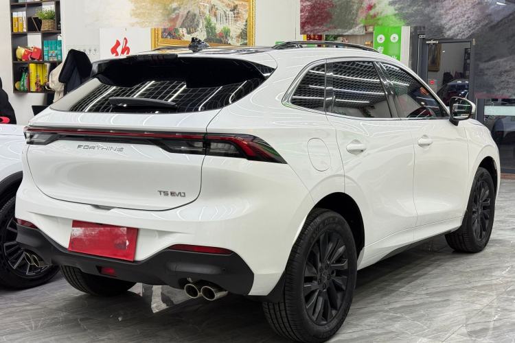 Used FORTHING T5 EVO 2021 1.5TD DCT Diamond Edition
