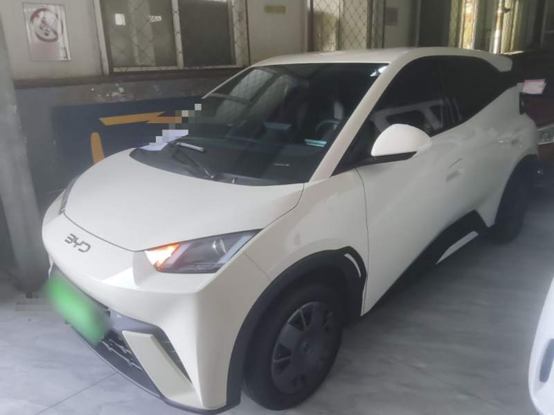 Used BYD Seagull 2025 305km Active Version — 1
