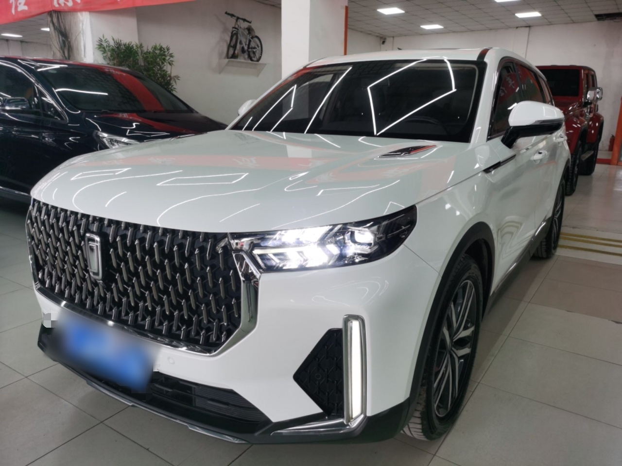 تحت مقدمة السيارة