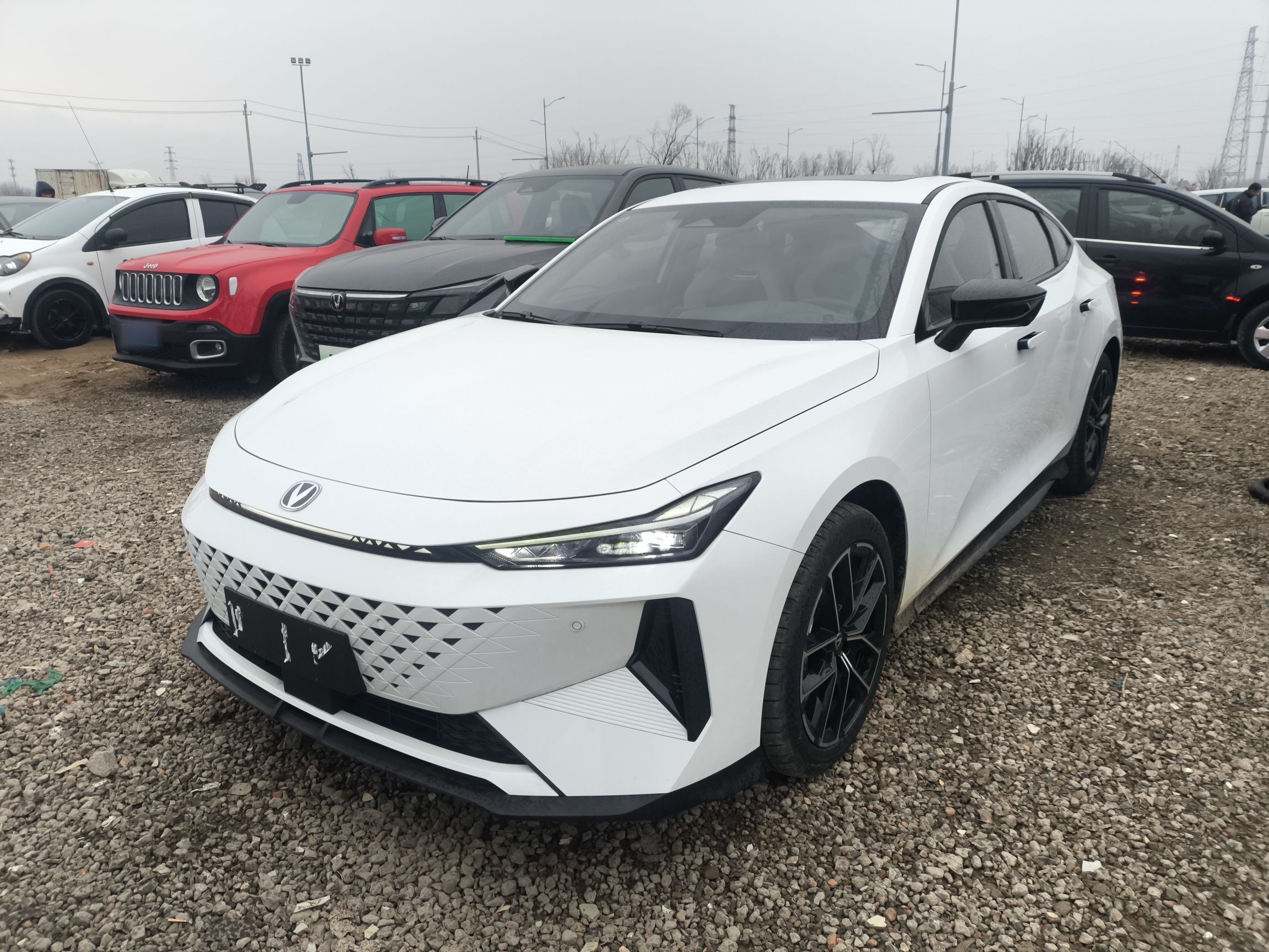 Parte inferior delantera