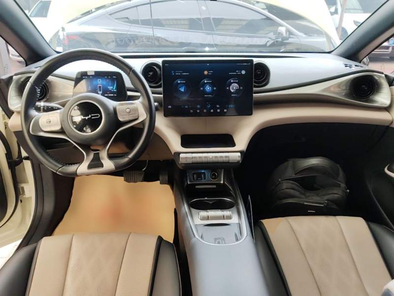 Used BYD Dolphin 2023 420 km Fashion Edition — 9