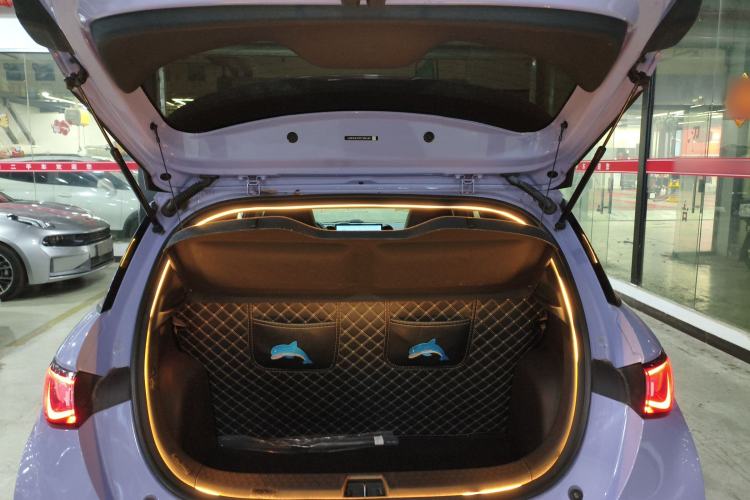 Used BYD Dolphin 2023 420 km Free Version Trunk