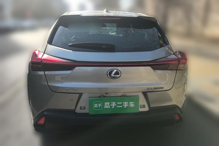 Used Lexus UX New Energy 2020 300e Pure·Joy Edition Rear