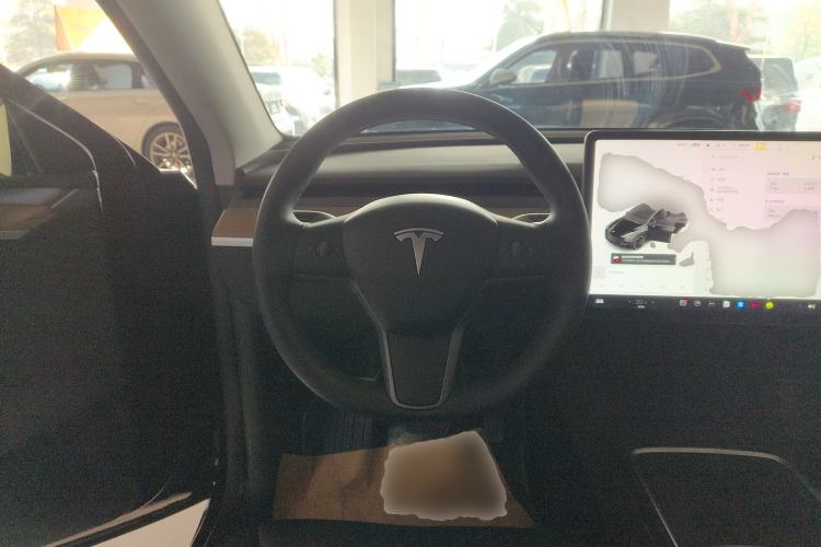 Used Tesla Model Y 2021 Standard Range Rear-Wheel Drive Version
