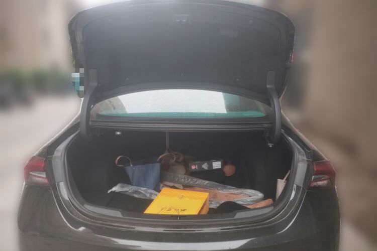 Used Buick LaCrosse 2020 652T Elite Edition Trunk