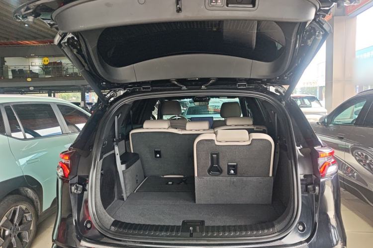 Used BYD Tang New Energy 2024 DM-i Champion Edition 200KM Deluxe Model