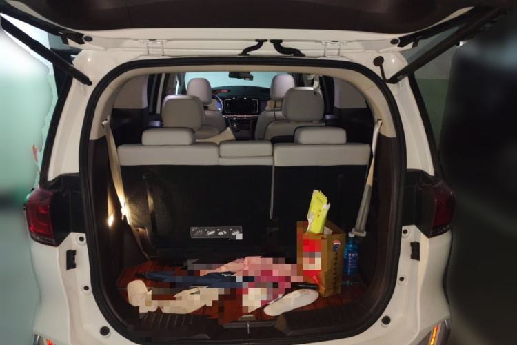 Used GAC Trumpchi M8 2021 Master Series 390T Ultimate Edition