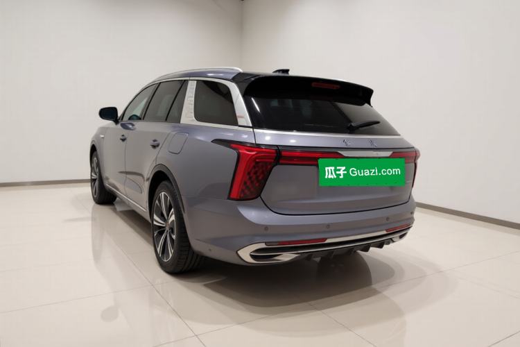 Used Hongqi E-HS9 2021 510 km Range Flagway Edition Six Seats
